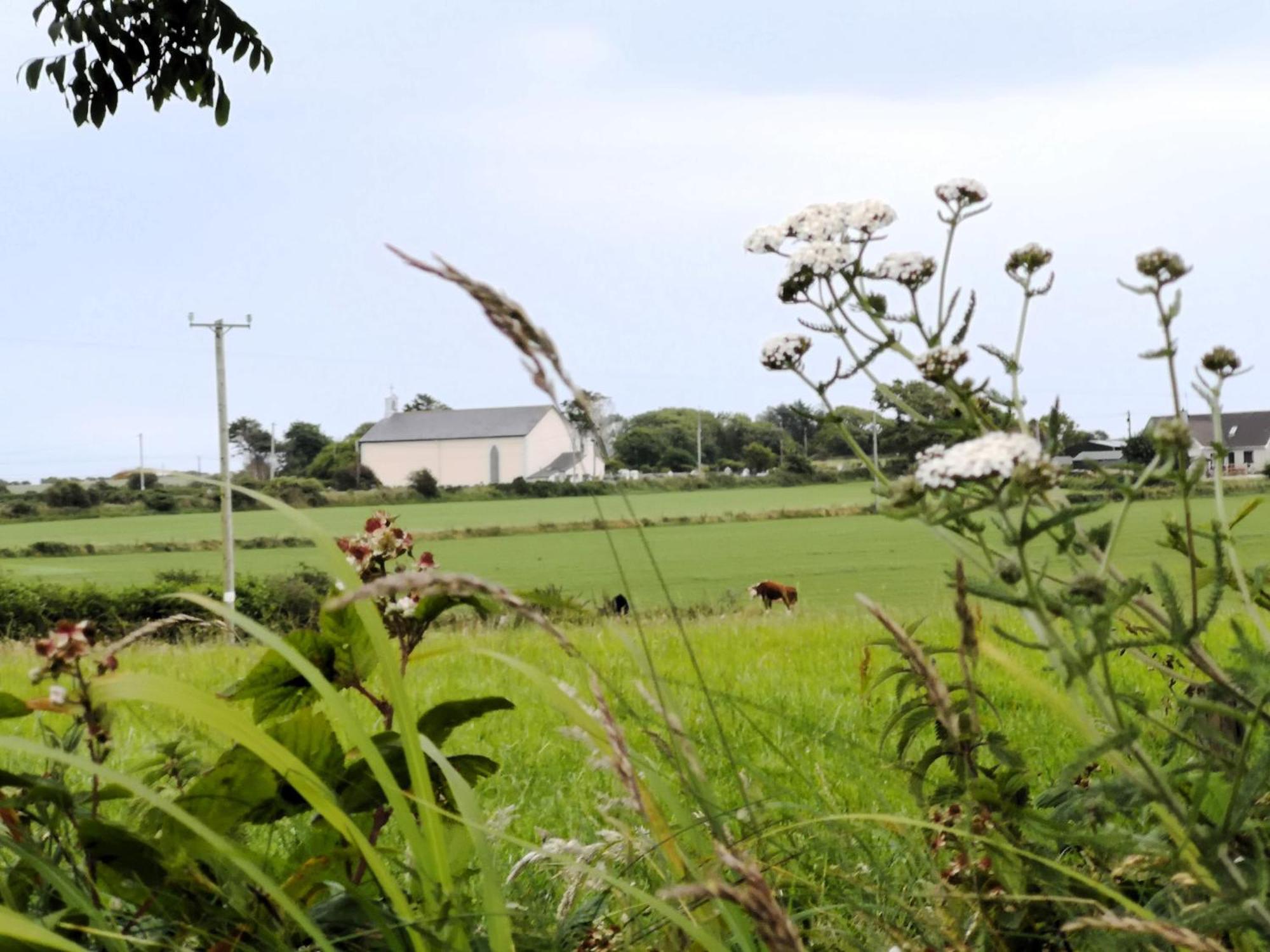 Roaringwater Stay Skibbereen Zewnętrze zdjęcie